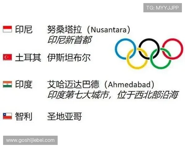 申办世界杯对申办国经济发展的影响与潜在机遇