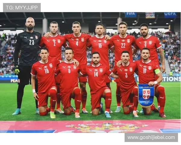 世界杯预选赛欧洲区最新积分榜全面解析助你掌握各队晋级形势