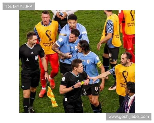 2026世界杯投注网站如何选择，专业评测与用户体验全面比较分析