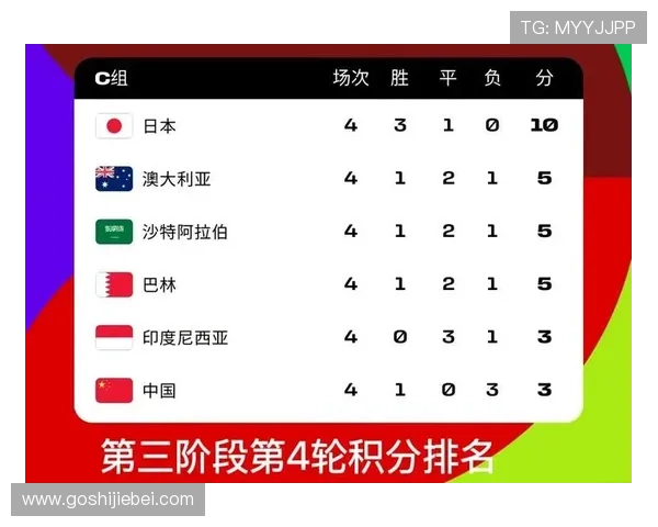 2026年世界杯决赛举办地详细介绍及未来赛事安排分析