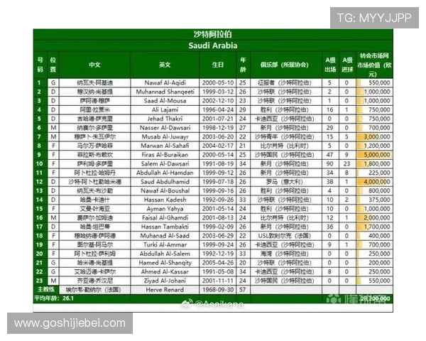 2026年亚洲世界杯预选赛积分榜最新数据，分析晋级形势与未来比赛重点