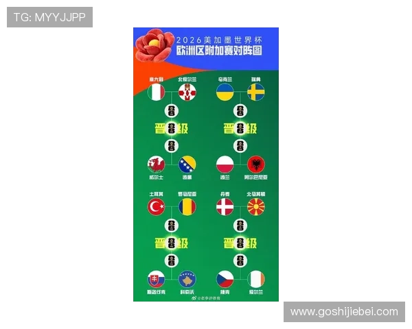 2026年美加墨世界杯晋级球队的实力对比与晋级形势全面分析