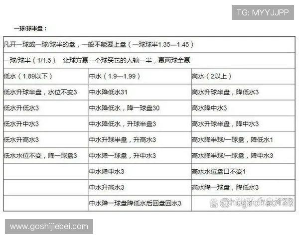 足球竞彩外围玩法详解及最新投注技巧提升你的盈利能力